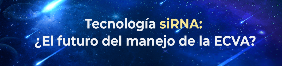 ¿Cómo funcionan los tratamientos con siRNA?