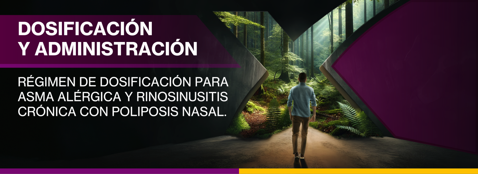 xoliar-header-administracion