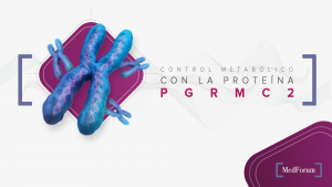 Control metabólico con la proteína PGRMC2